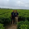 tamrinujung