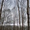 _fnraz