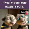 _alenkatu