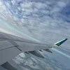 mlwx5