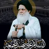 علي الركابي صدري