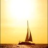 sunlight2435