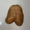 aahdinosaurs.143