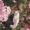 catlovely21