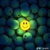 noor_slmann