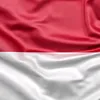 indo803