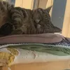 yuki20031225