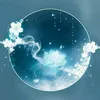 3_poodle_3