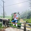 al plafon lampung
