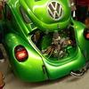 green_beetle1