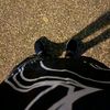 user2305707019367