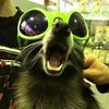 jzxavier