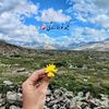 buissnes_with_azka