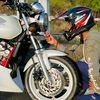 sapz_dwijeainghe
