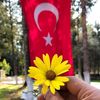 🇹🇷🌹 YAVUZ 🌹 🇹🇷