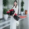 Hạ Ann