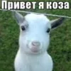 xetili