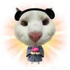 da.quynh20