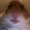 baadiiimk5
