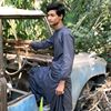 musa_7205