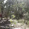 ngathanh20