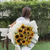sunflower.0222