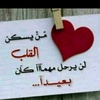 farag_alrashed