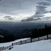 _beni_47