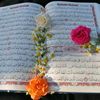 mohamedsheker