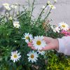 dana_sam.iguardia78