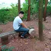 asenal.binhty1996