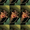 bbuterflie0