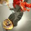 usertjy38z2sn9