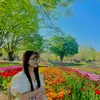 hoaithu_13299