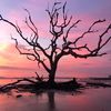 Jekyll Island Nature Girl