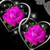 user2066792496681