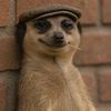 sabi_blogger01