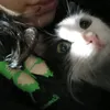 chitaaah