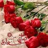 khaled79887