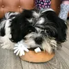 ah_alwayshungry