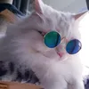 acquififidepzai