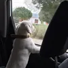 whereistanti