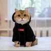 faisal_ferdinan01