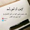 mrawanfetouh38