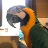 tawerk