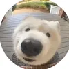 itsirenehomie