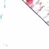 ozam308