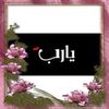 heba_hegazy79