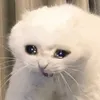hfdyh78