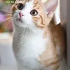 cutepie_s3